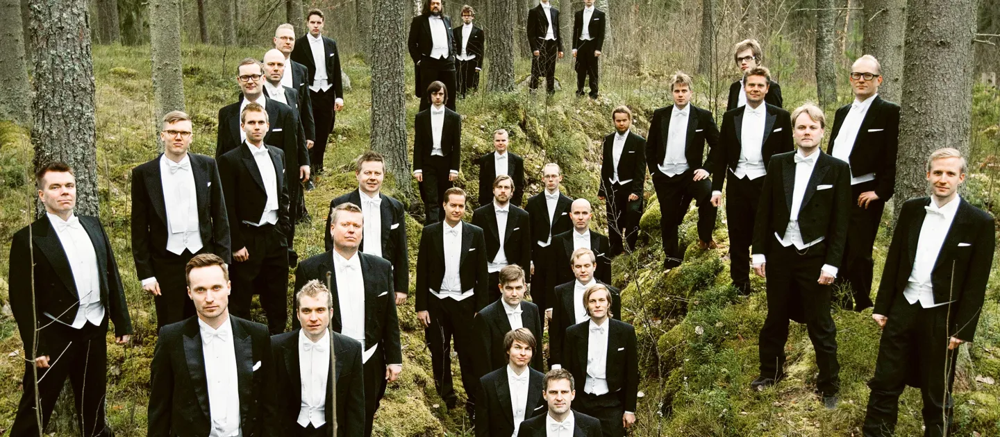 Wald Einsamkeit-Festspielhaus-Bregenzer Festspiele-YL male voice choir im Wald